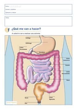 ¿Qué me van hacer?