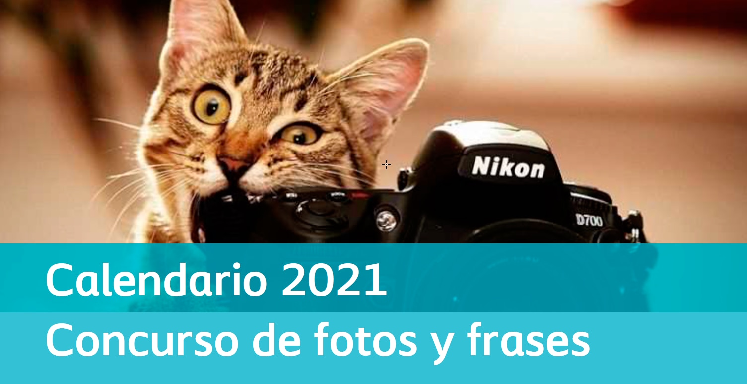 Calendario 2021 